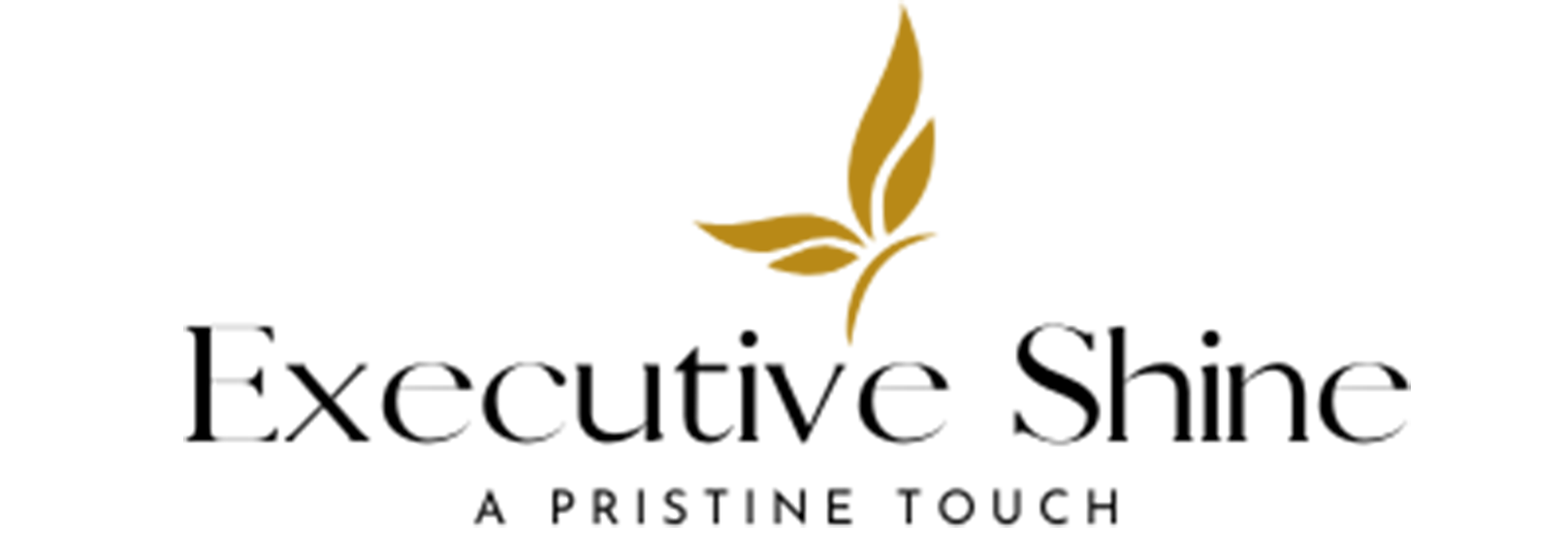 Executive Shine Executive Shine