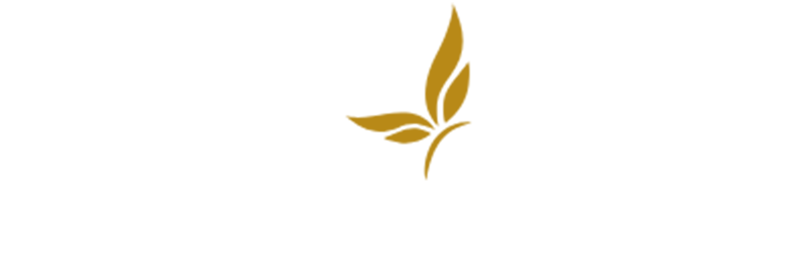 Executive Shine Executive Shine